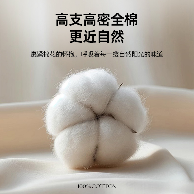 Cama de algodón de color puro para estudiantes universitarios de tres piezas dormitorio de algodón puro sábana individual funda de edredón ropa de cama 2025 nuevo estilo