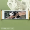 Panda 115