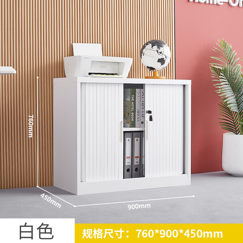 推拉卷帘门柜办公文件柜铁皮柜财务凭证柜钢制书柜阳台储物柜矮柜|undefined