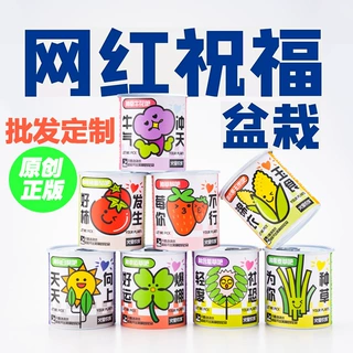 易拉罐盆栽室内桌面小绿植图案花卉种子蔬菜学生观察生长教育盆栽