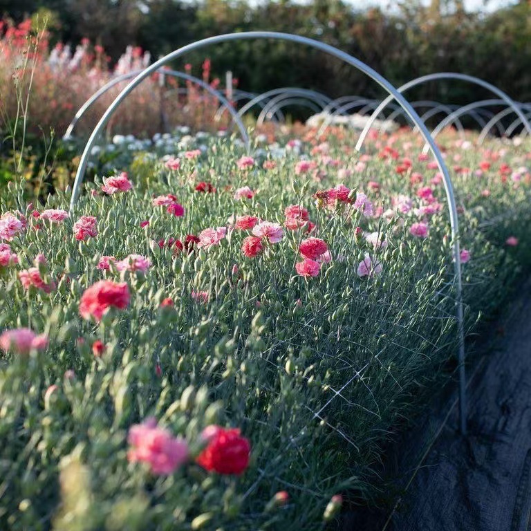 微信图片_20241031183758