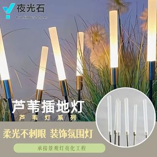 Manufacturer of Solar Outdoor Lights, Led Light-Emitting Reed Lights, Scenic Park Landscape Lighting, Ground-Inserted Lawn Lights in Stock