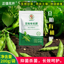 �����ЙC�ʼ�ͥ�ˈ@���ðl�͸��������߲�ֲ�ﻨ�ܾGֲͨ���w����