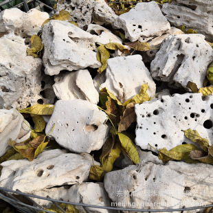 Natural white hole stone home flower arrangement decoration stone garden bonsai South American pot grass pot fish tank landscape