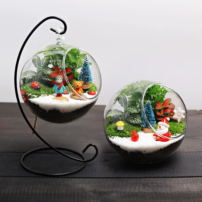 12 рождественских крытых настольных мини маленьких горшечных зеленых растений мох экологическое стекло миниатюрный пейзаж DIY материал