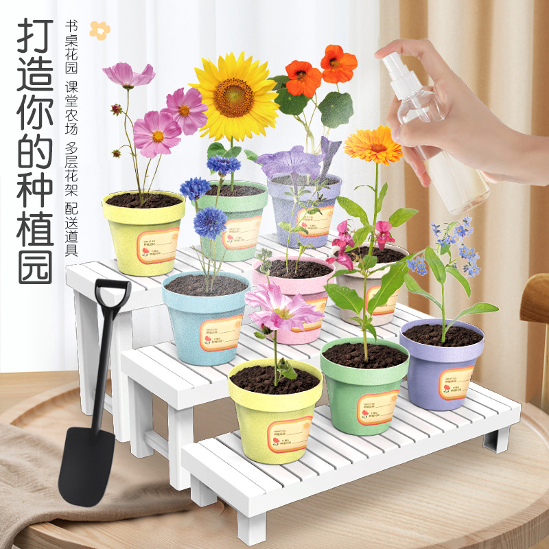 Planta de mesa para niños mini plantas verdes creativas pequeñas plantas de fresa girasol al por mayor