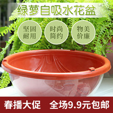 绿萝花盆储水盆双层套盆塑料兰花盆圆形吊挂自吸水花盆懒人盆批发