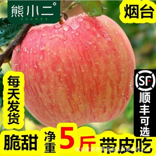 厂家批发烟台红富士苹果礼品盒奶油10斤脆甜糖心代发冰糖心