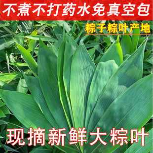�����~���~���r��̖���~�����ӌ��õ��~�Ӷ��繝�������l�����~��