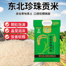 2025东北珍珠贡米厂家 低氧保鲜米粮油产品  东北大米5kg现货批发