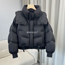 2025���ɕr�ж����¿���q�޷�����С�������e�̿��Bñ�����