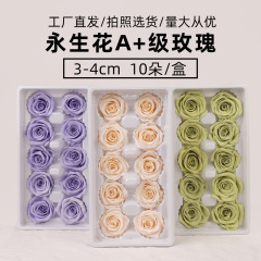 A永生花薔薇3-4cmドライフラワーDIY雲南メーカー母の日520卸売り