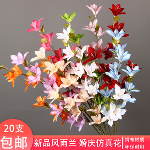 c滨Lmlٺϻ Ybٻ·Ų廨