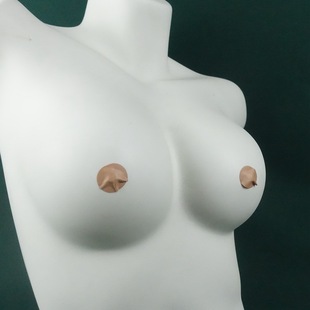 ���^�N��Ȥ����̼�¶�����׸����N���^��Ħ��ᘴ̼������L�����