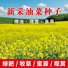 �Ͳ˻��N�������^�pʳ��ե�͸߮a�ļ����ﲥ�N�ͺ���ɫ�Ͳ˻��N��