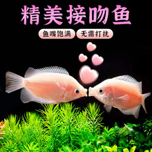 �H���~�����~��ᎧС���^�p�~��ˮ���B�ͻ��w�~�����|�W�^�~����