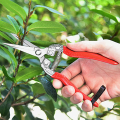 Stainless steel pruning shears, grape pruners, garden fruit pruners, flower branch pruners, citrus, vegetable and fruit picking pruners