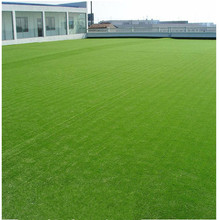 �����ƺ�Gɫ��̺���׃��@�����˹��ٲ�Ƥ���̇�������������ƺ