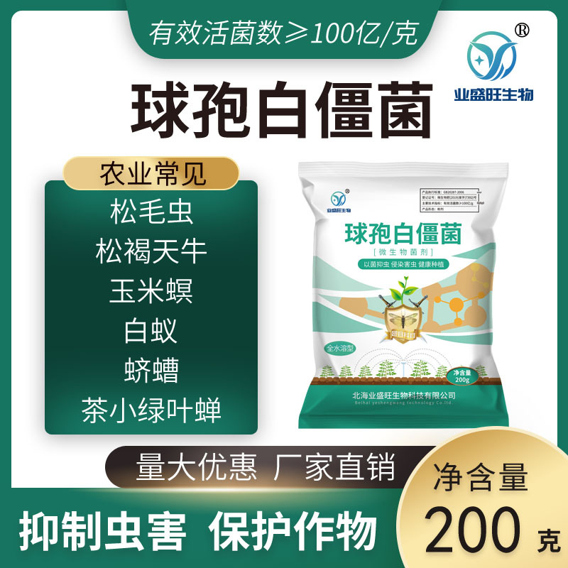 业盛旺100亿/g球孢白僵菌粉剂松毛虫蛴螬菜青虫菌剂高效生物菌剂