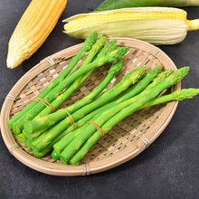 �����J�Sģ�ͼ���Sˮ���߲˼Ҿә����b�ܛ�[�O�Gɫ�ĔzʳƷ����