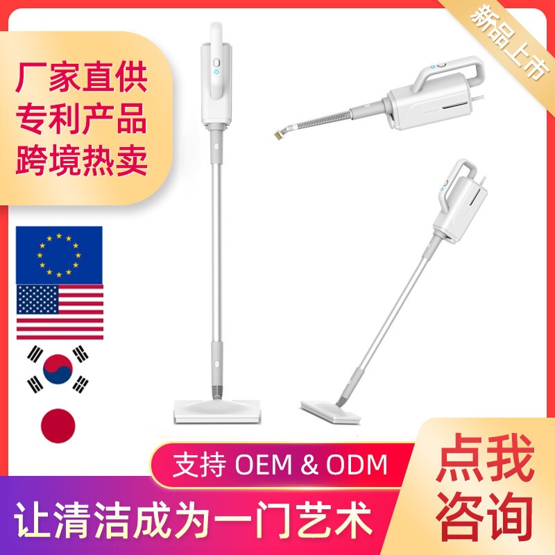 Manufacturers Supply Cross-Border Multifunctional Steam Cleaning Machines for Home Use, High-Temperature Disinfection, Sterilization, and Mite Removal Steam Mops