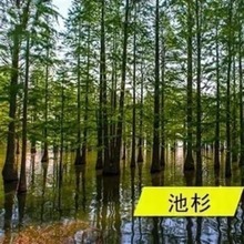 ���l��ɼ�N��ɼ����ľ�N���ļ��������G���^�~�N��