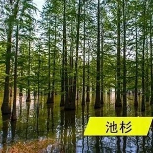 ���l��ɼ�N��ɼ����ľ�N���ļ��������G���^�~�N��