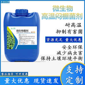 高温闷棚菌 焖棚菌种秸秆粪肥腐熟菌种抗重茬土壤改良剂
