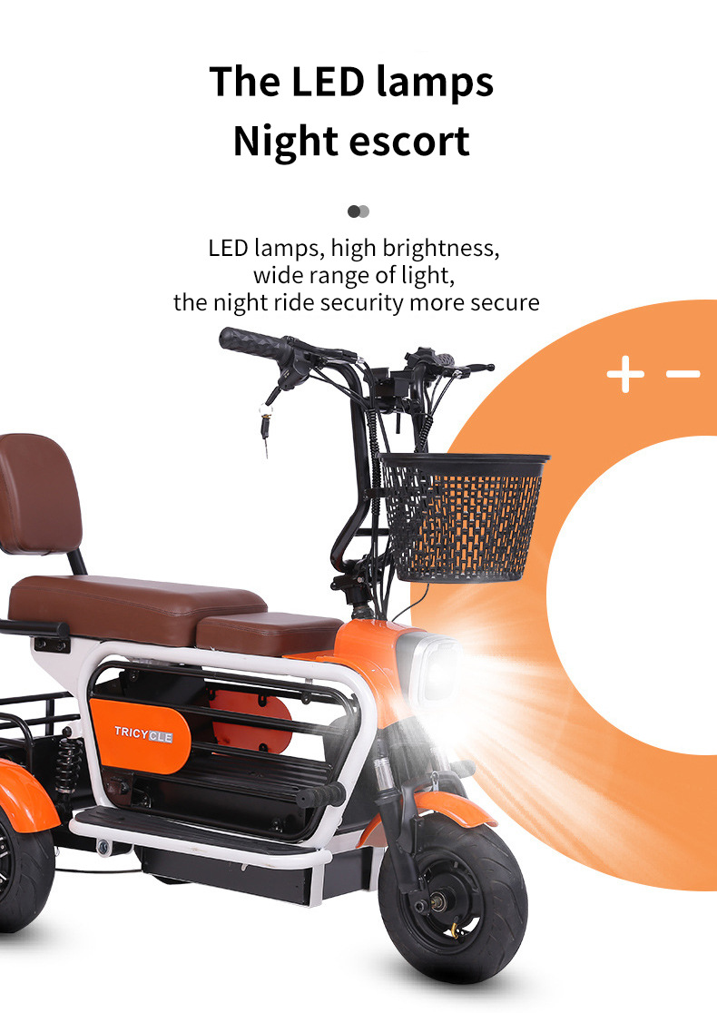 Electric Tricycle for Elderly/Pet Use