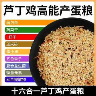 �J���u�߮a��ό��îa���Z���r���u�g���µ��u������������_����