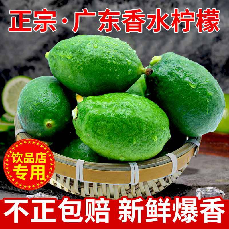 Seedless Guangdong Lemon Fruit, Green Lemon Drink, Special for Milk Tea Shops, 4.5kg Large Fruits, Commercial Use, Authentic and Fragrant