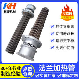 防爆法兰电加热管恒温水箱导热油大功率加热棒油罐水槽异形电热管