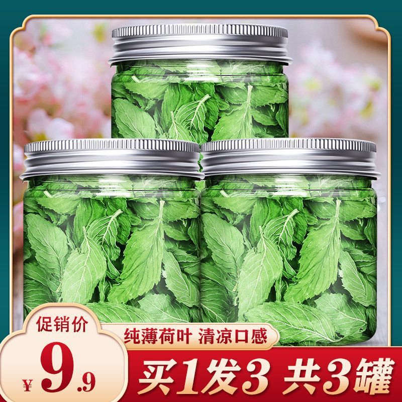 Fresh and Edible Mint Leaves for Making Tea and Bartending, Dried Fresh Medicinal Materials for Baking, Commercial Bulk Tea, Refreshing Tea Fresh and Edible Mint Leaves for Making Tea and Bartending, Dried Fresh Medicinal Materials for Baking, Commercial Bulk Tea, Refreshing Tea
