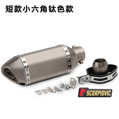 Motorcycle Modification sports car Fuxi Kawasaki Large Displacement Racing Small Hexagon Universal Huanglong 600 Scorpio Exhaust (Motorcycle exhaust pipe) - 300-short-all-titanium