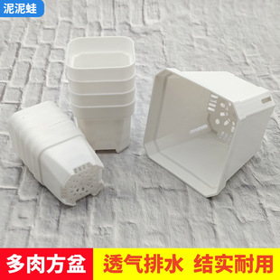 �˽����ɫ������⻨�跽������Ĵָ�����溆�s���ϻ��跽��