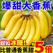 W10斤高山大香蕉当季新鲜水果芭蕉香蕉香甜又好吃包邮5整箱2斤批