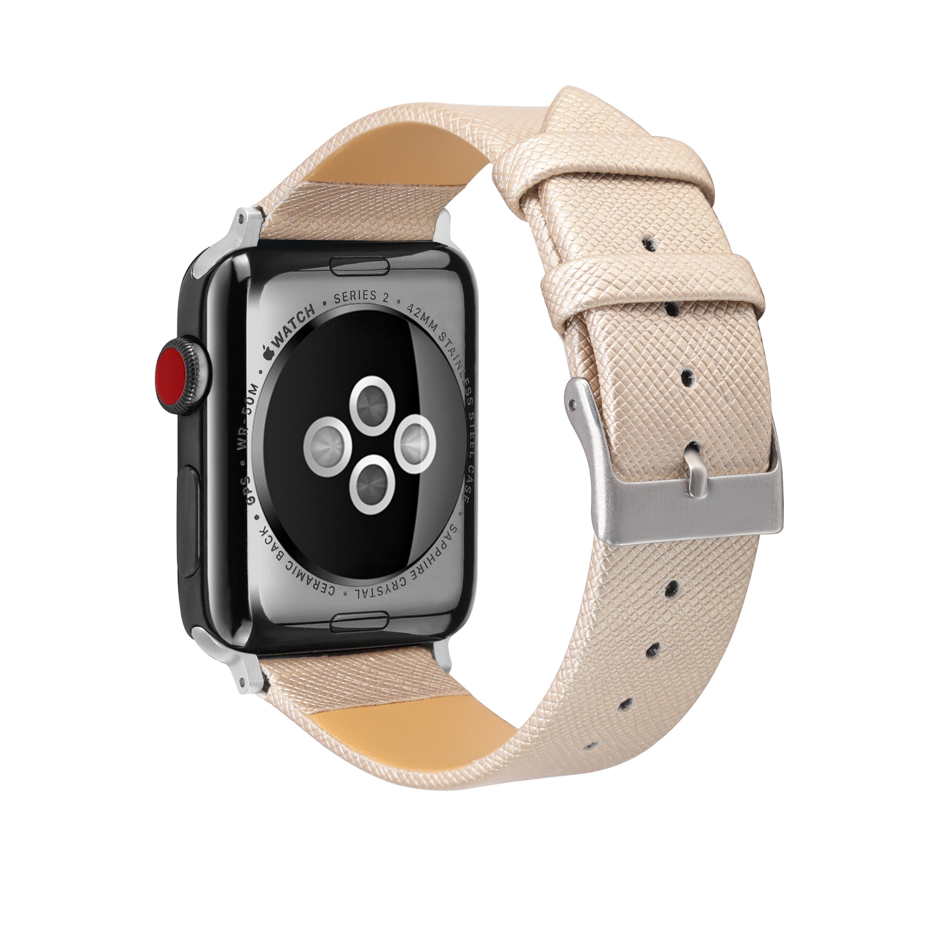 香槟色 背面.jpg