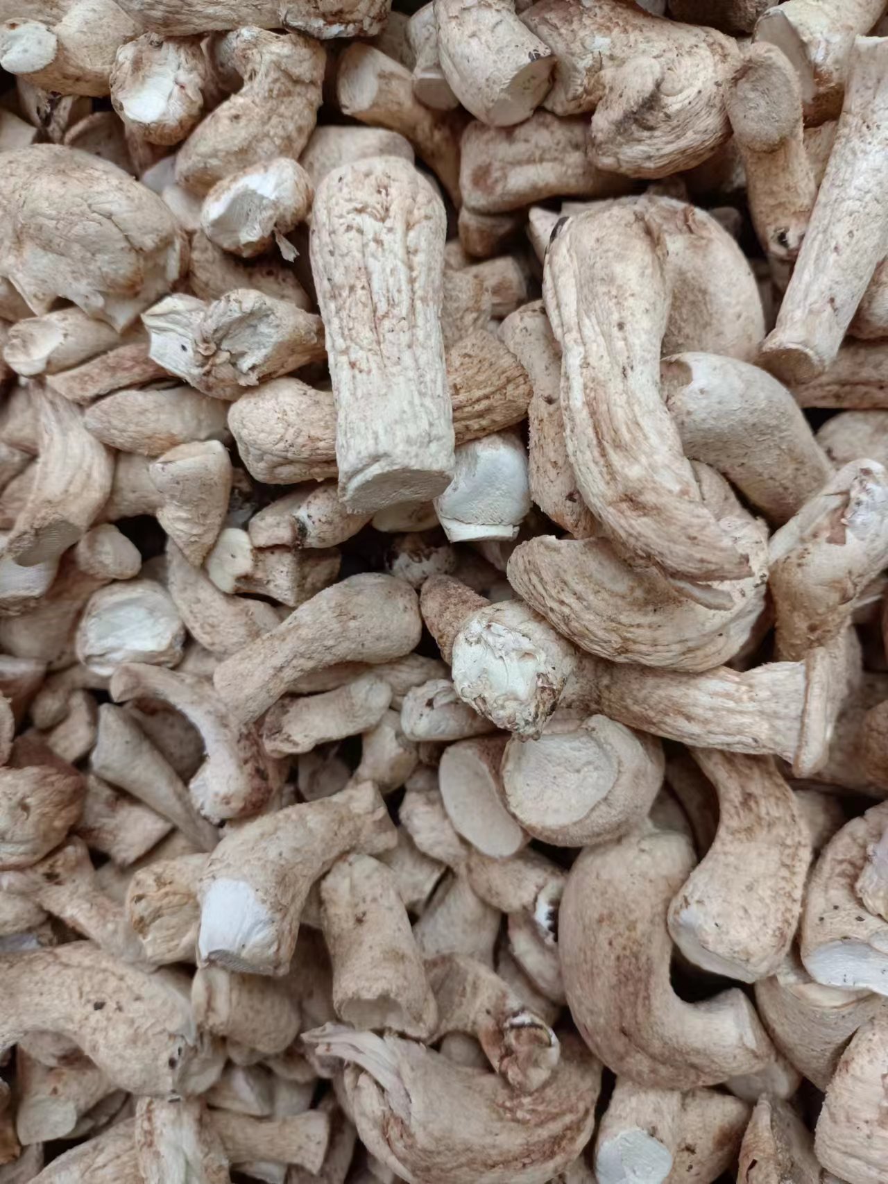 微信图片_20221206181107