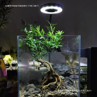 ��ˮ��÷�c�Yԭ���ļ�ˮ���Ϙ������~���쾰�Gֲԭˮꑸ�ˮ��ֲ��