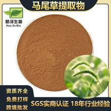 �Rβ����ȡ��30:1�Rβ�ݷ�Horsetail extract�Rβ����ȡ�۬F؛