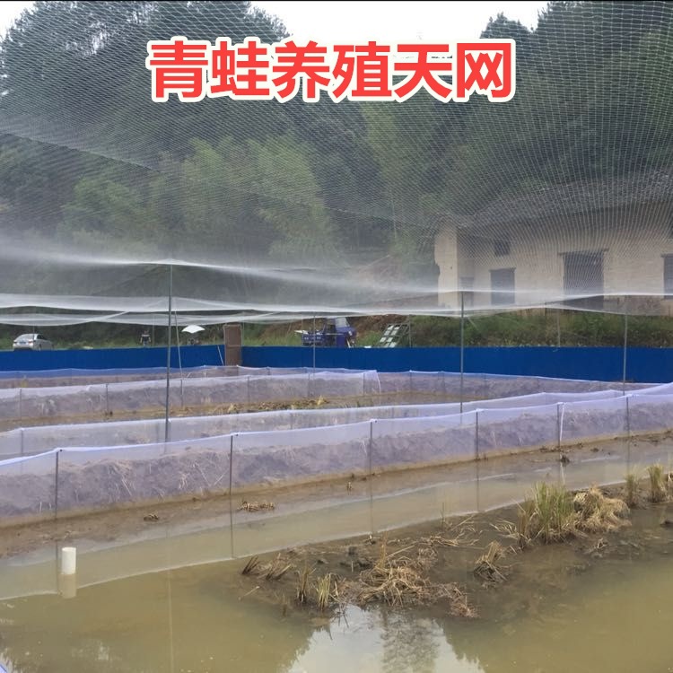 O1CN014d0NM62BMRMHs8Ue4_!!3421