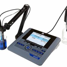 YSI 4010-1W台式水质分析仪 溶氧仪溶解氧仪代替YSI5100溶氧仪