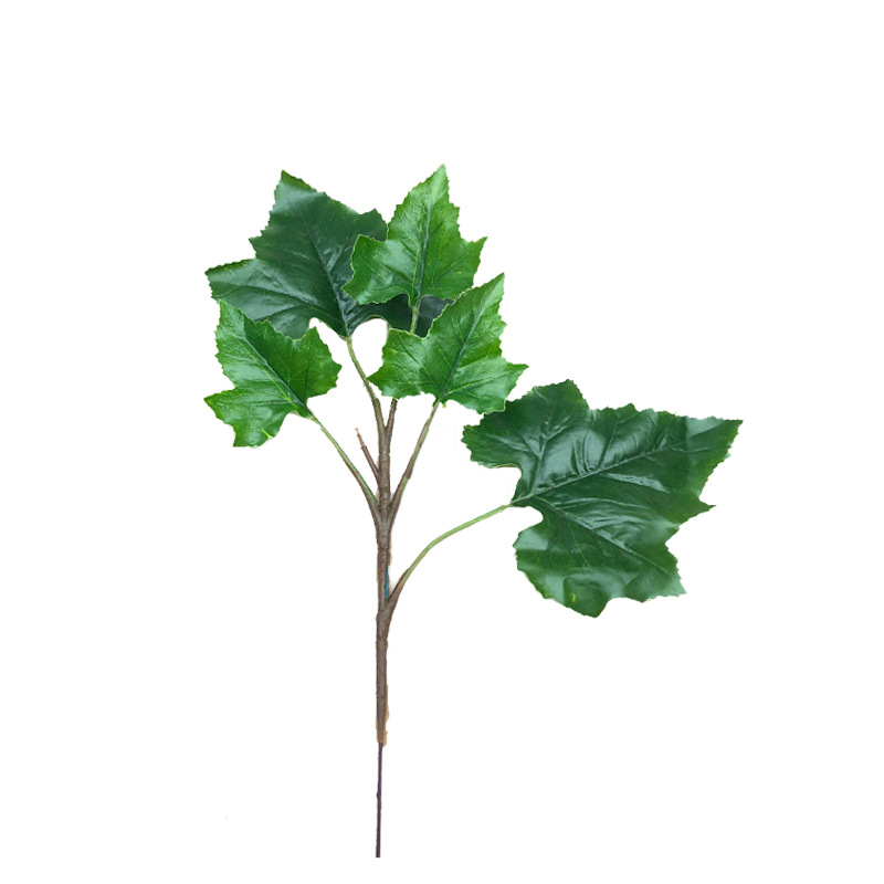 XRB-266 梧桐叶单枝5叶 (5).jpg