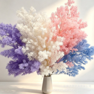 ���������R��ѩ���}�Q�ɼҾ��b��仨DIY���λ�������ďS�����l
