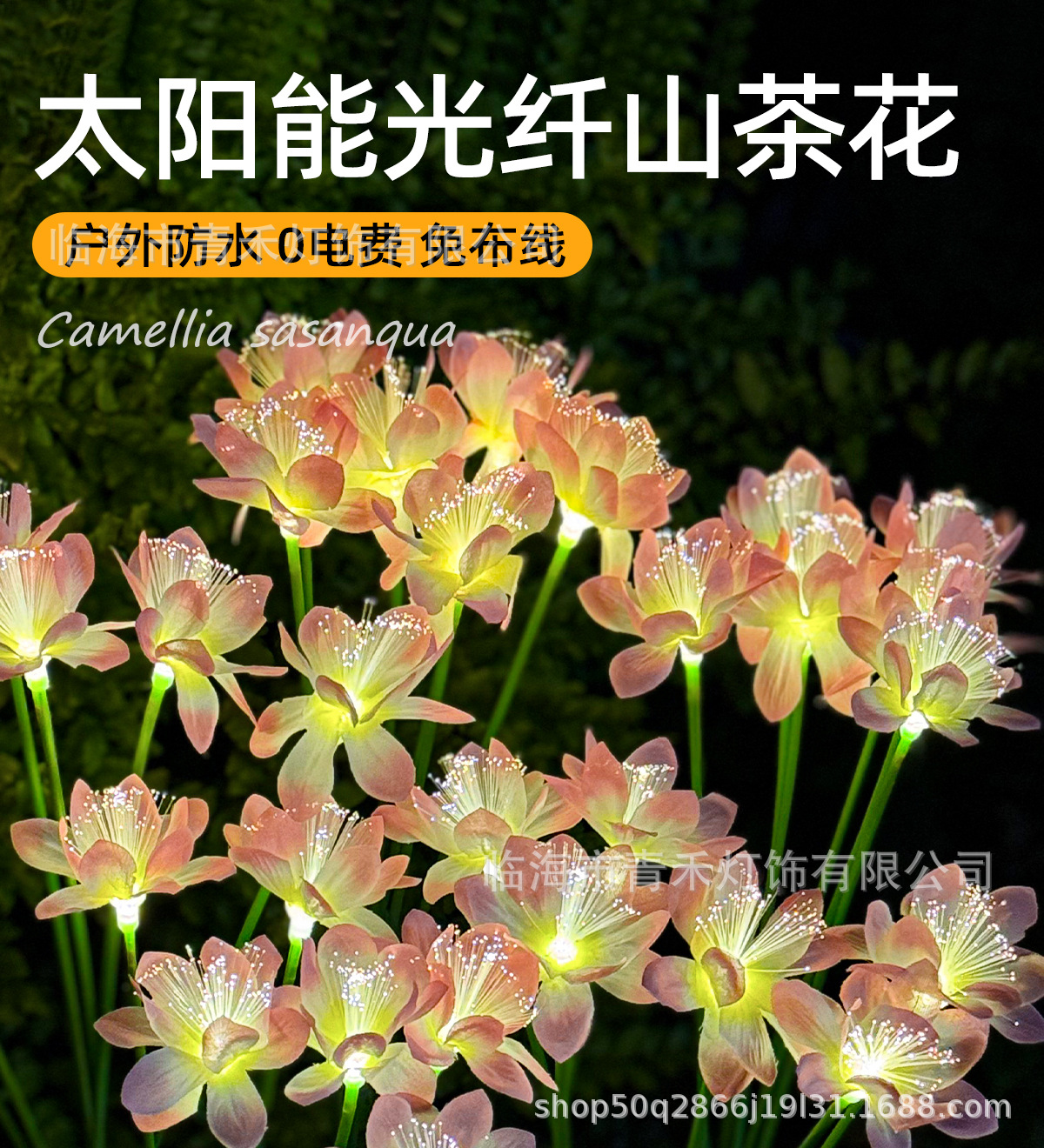 6개의 머리 - 태양광 벚꽃 - 따뜻한 빛 - 항상 밝음