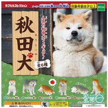 ��} �ձ���ƷEPOCH ��Ȯ ����Ȯ �������[��Ť��