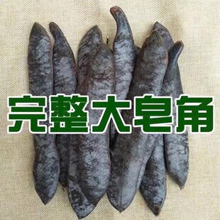 ��ș���������v���������Ǵ����v���v�����Ƿ�ϴ��ϴ�^��؛���l