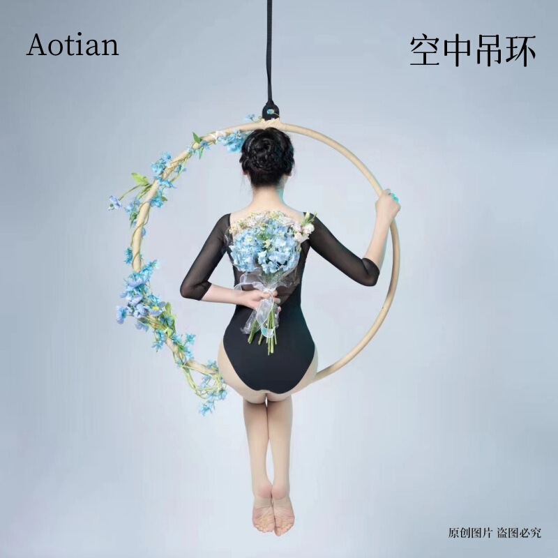 Aerial yoga rotating ring fitness home high-altitude acrobatics Bar nightclub performance ear-free single-ear stainless steel hanging