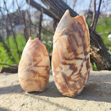 �Ӽ{���ڜu����Ȼ��ˮ��  �ղؘ˱�ؐ���b�DIY�����Lˮ�[��