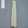 Белый